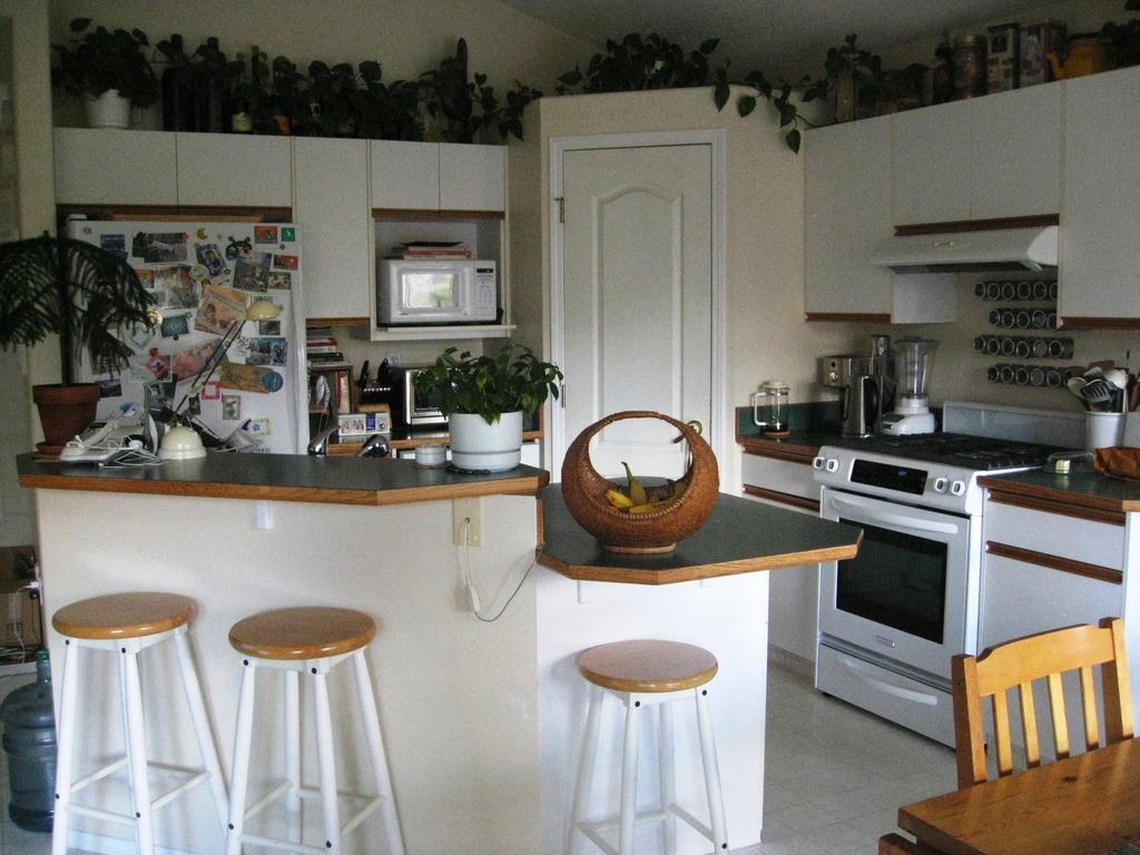 Avens Renaissance B&B Canmore Buitenkant foto