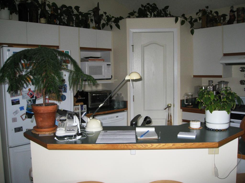 Avens Renaissance B&B Canmore Buitenkant foto